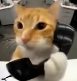 許齡之